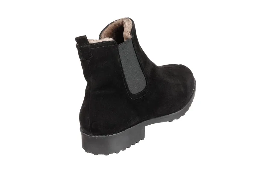 Br Bear Black