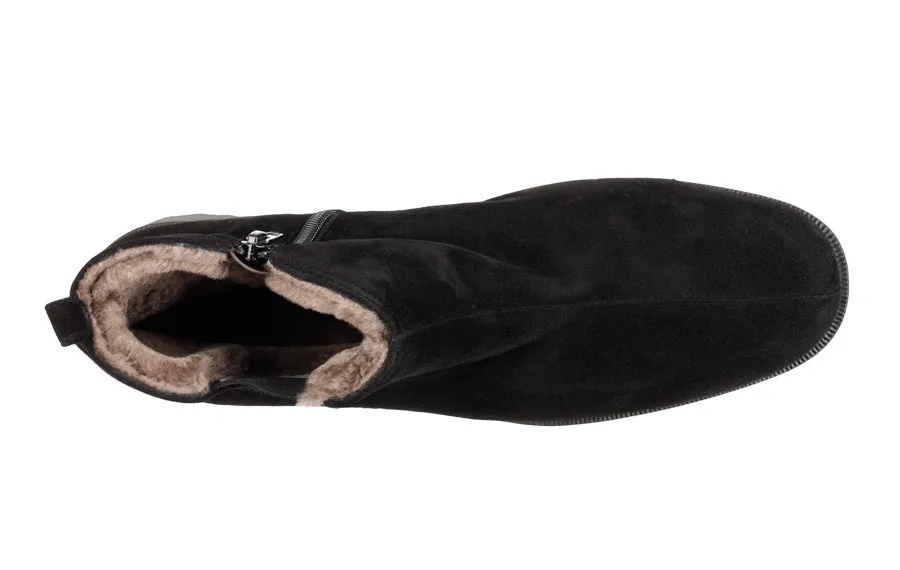 Br Bear Black