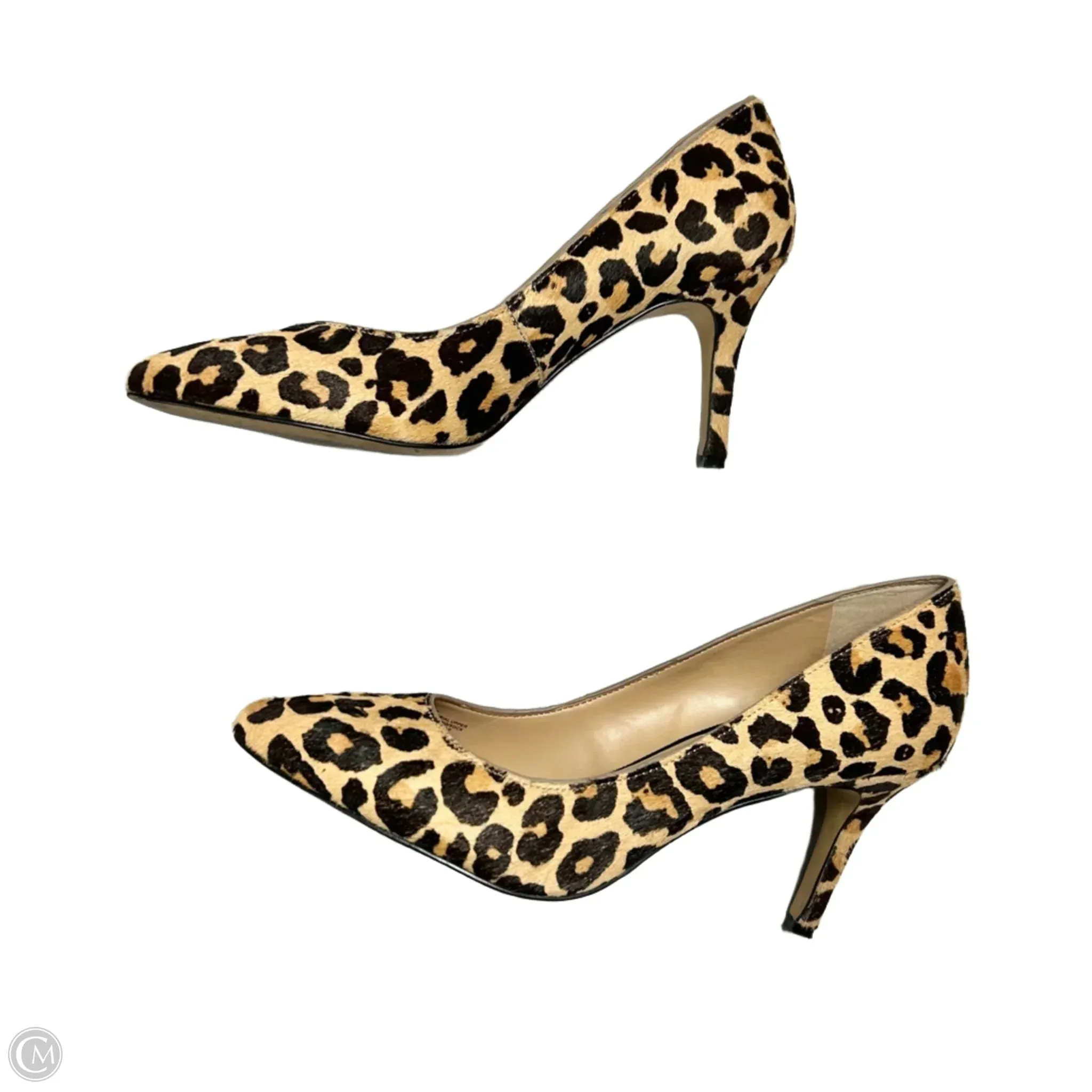 Shoes Heels Stiletto By Inc In Leopard Print, Size: 9.5