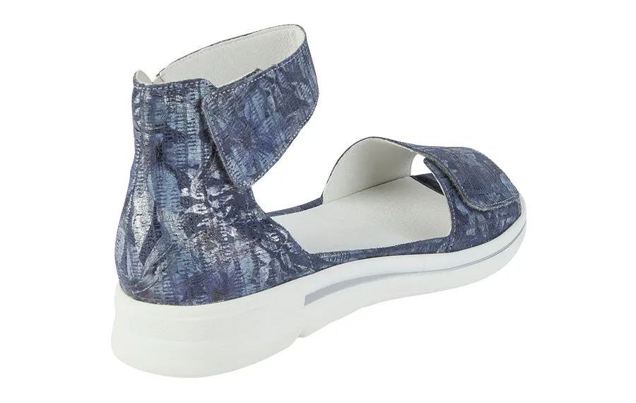 Wal Coast Blue