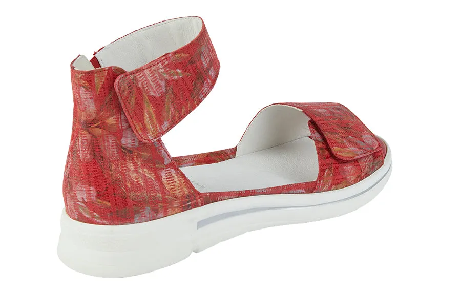 Wal Coast Red